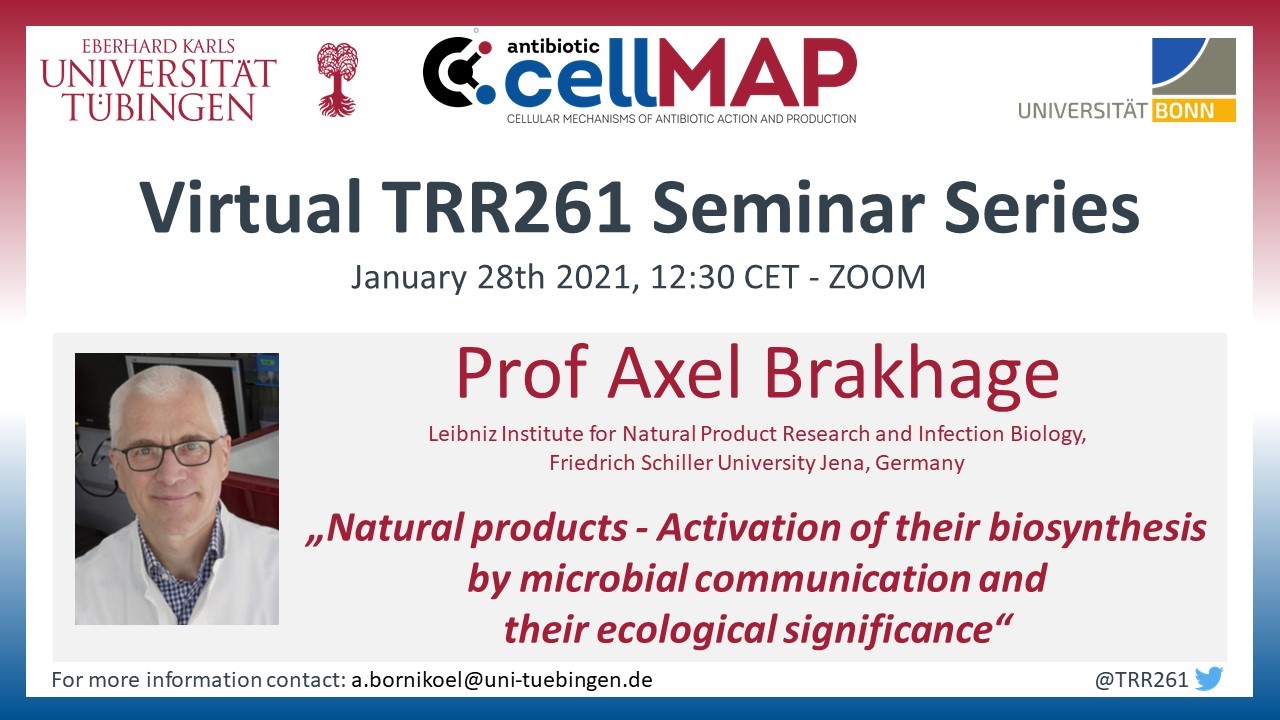 Virtual TRR261 Seminar Series - Prof Axel Brakhage